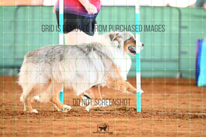 Vapor_Logan_Friday_Round2Jumping_453_KG_0892