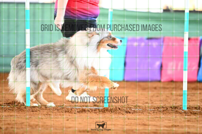 Vapor_Logan_Friday_Round2Jumping_453_KG_0898