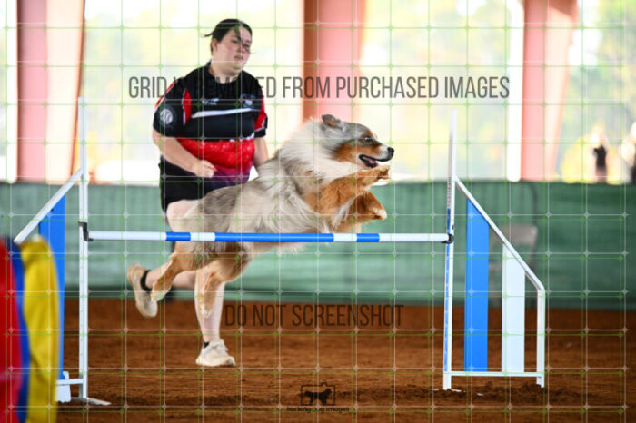 Vapor_Logan_Friday_Round2Jumping_453_KG_0914