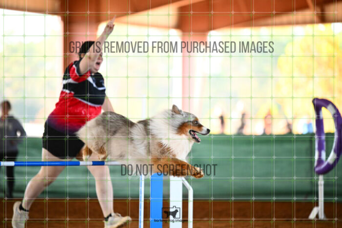 Vapor_Logan_Friday_Round2Jumping_453_KG_0918