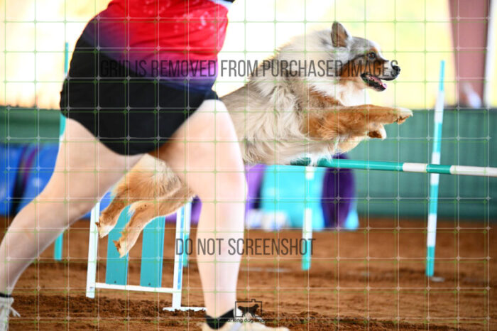 Vapor_Logan_Friday_Round2Jumping_453_KG_0930