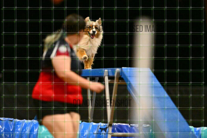 Vapor_Logan_NationalsRound1_356_KG_3316