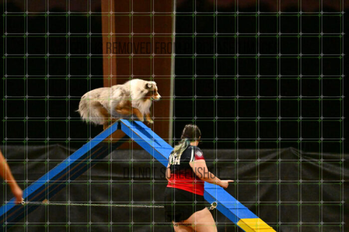 Vapor_Logan_NationalsRound1_356_KG_3336