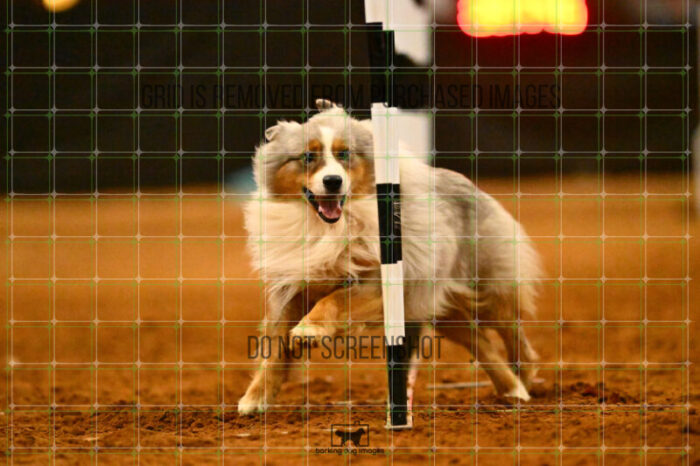 Vapor_Logan_NationalsRound1_356_KG_3405