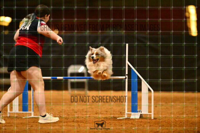 Vapor_Logan_NationalsRound1_356_KG_3450