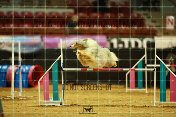 Vapor_Logan_Ring_3_Wednesday_Speedstakes_Semi_Final_172_VW_2926