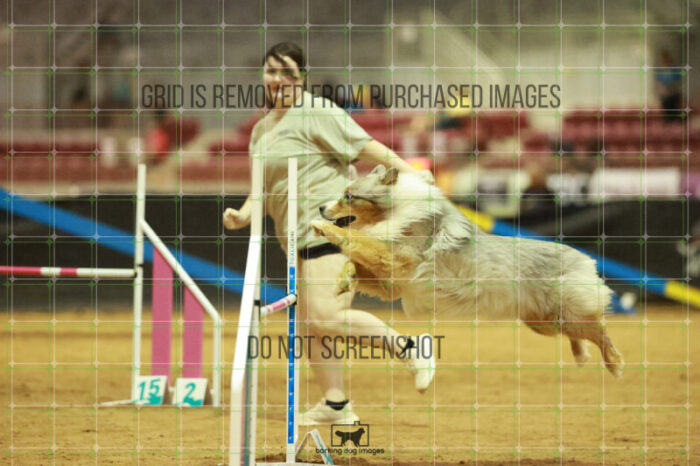 Vapor_Logan_Saturday_OpenAgility_170_RR_0342