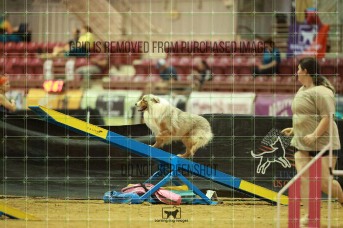 Vapor_Logan_Saturday_OpenAgility_170_RR_0364