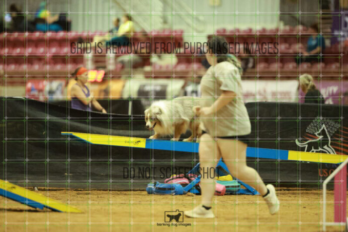 Vapor_Logan_Saturday_OpenAgility_170_RR_0365