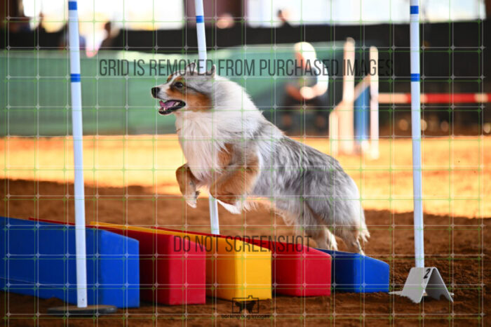 Vapor_Logan_Saturday_WTAJumping_158_KG_8713