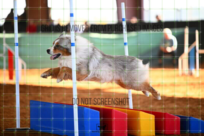 Vapor_Logan_Saturday_WTAJumping_158_KG_8715