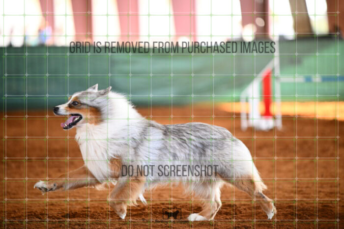 Vapor_Logan_Saturday_WTAJumping_158_KG_8722