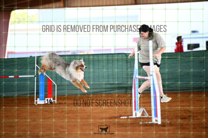 Vapor_Logan_Saturday_WTAJumping_158_KG_8729