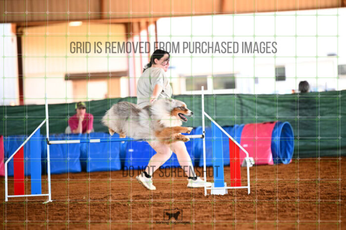 Vapor_Logan_Saturday_WTAJumping_158_KG_8743