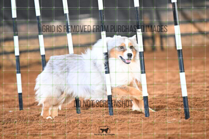 Vapor_Logan_Saturday_WTAJumping_158_KG_8783