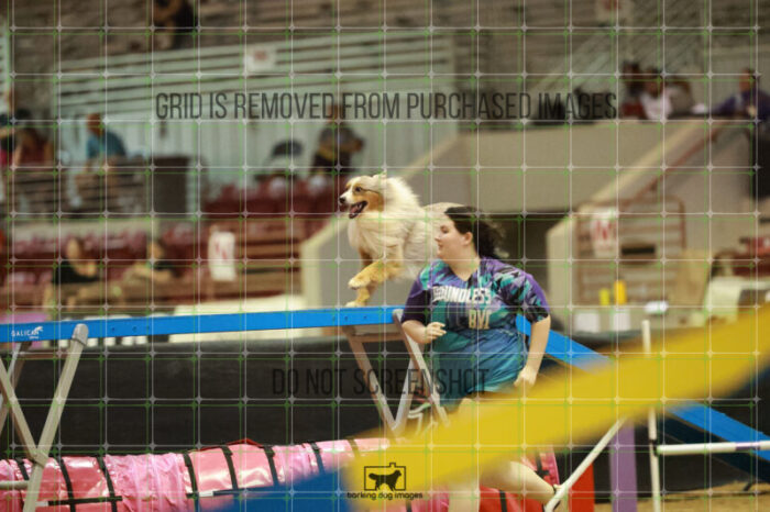 Vapor_Logan_Thursday_Masters_Agility_Heat_138_RR_1525