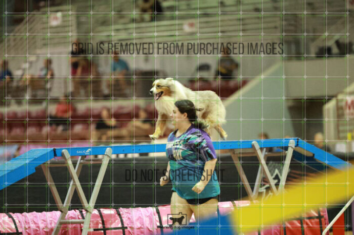 Vapor_Logan_Thursday_Masters_Agility_Heat_138_RR_1528