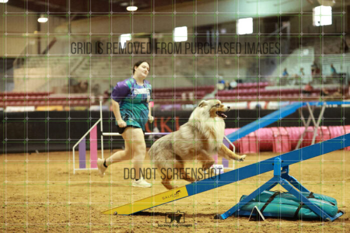 Vapor_Logan_Thursday_Masters_Agility_Heat_138_RR_1542