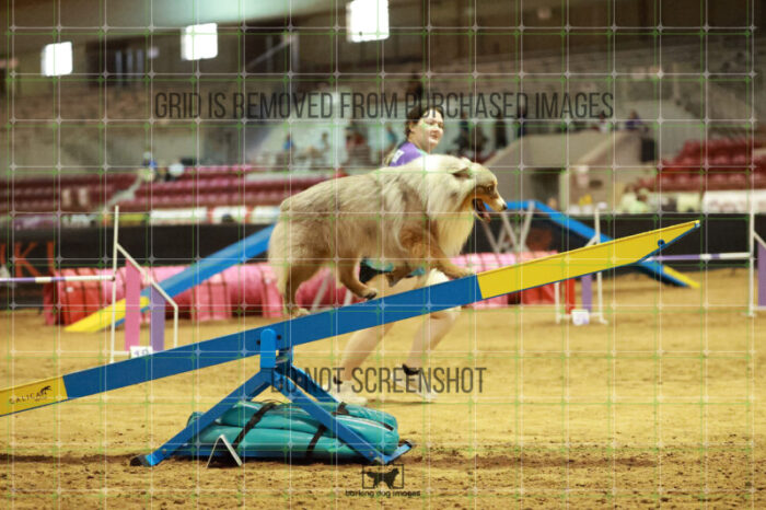 Vapor_Logan_Thursday_Masters_Agility_Heat_138_RR_1546