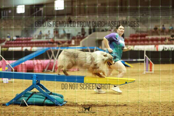 Vapor_Logan_Thursday_Masters_Agility_Heat_138_RR_1551