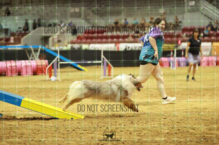 Vapor_Logan_Thursday_Masters_Agility_Heat_138_RR_1556