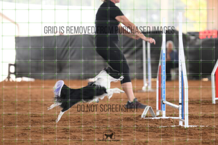 Vibrant_Tiedemann_Friday_MastersJumpingFinal_237_AS_5744