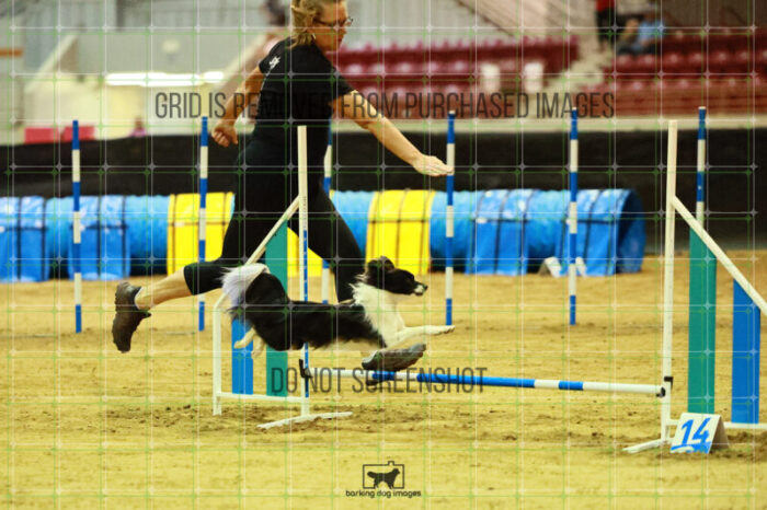 Vibrant_Tiedemann_Friday_Round2Jumping_165_SH_2088