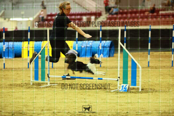 Vibrant_Tiedemann_Friday_Round2Jumping_165_SH_2089