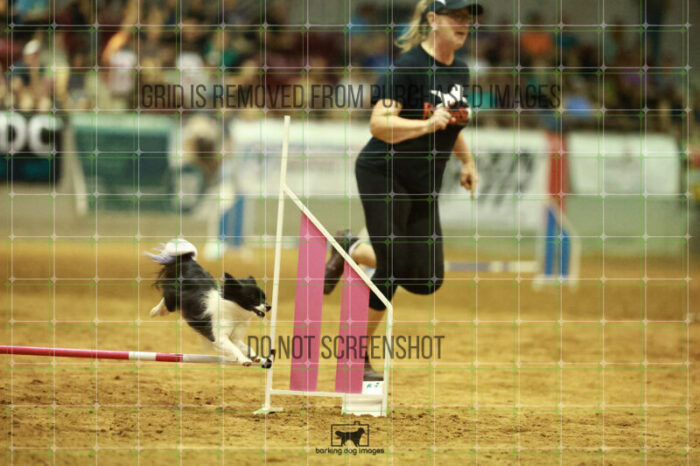 Vibrant_Tiedemann_Speedstakes_Finals_128_0694