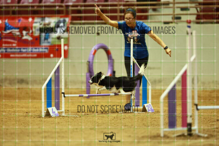 Prime_Wesley_Saturday_OpenAgility_172_VW_2937