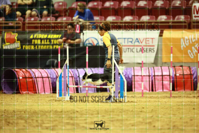 Prime_Wesley_Thursday_Masters_Agility_Heat_124_VW_1085