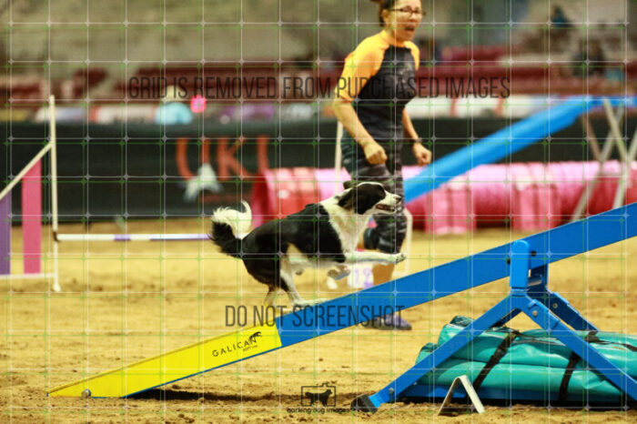 Prime_Wesley_Thursday_Masters_Agility_Heat_124_VW_1122