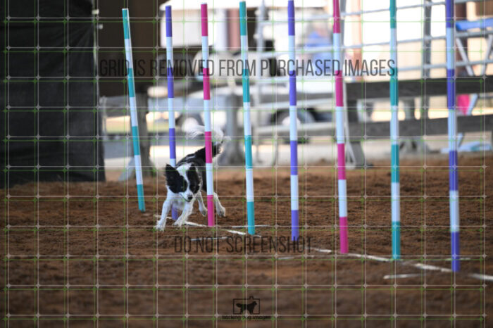 Prime_Wesley_Thursday_Masters_Jumping_Heat_105_AS_0197