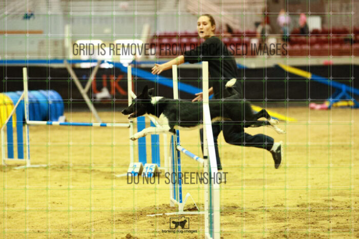 Violence_Phoenix_Ring_2_Saturday_OpenAgility_148_SH_2009