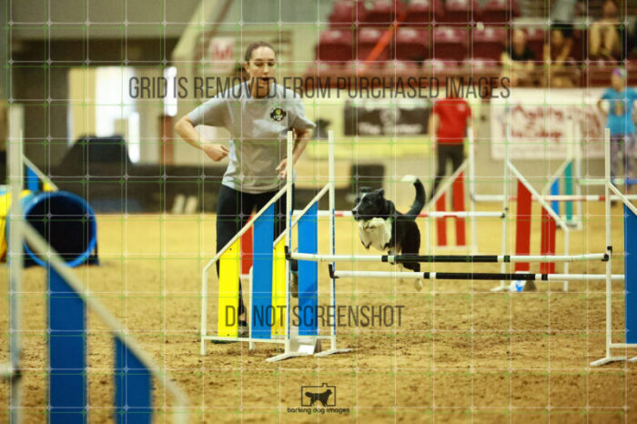 Violence_Phoenix_Ring_2_Wednesday_Biathlon_Jumping_278_SH_6382