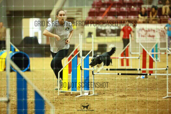 Violence_Phoenix_Ring_2_Wednesday_Biathlon_Jumping_278_SH_6384