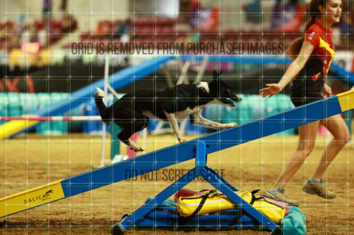 Violence_Phoenix_Thursday_Masters_Agility_Heat_215_SH_4774