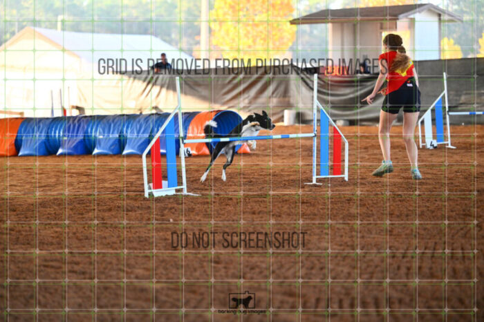 Violence_Phoenix_Thursday_Masters_Jumping_Heat_118_LB_0299