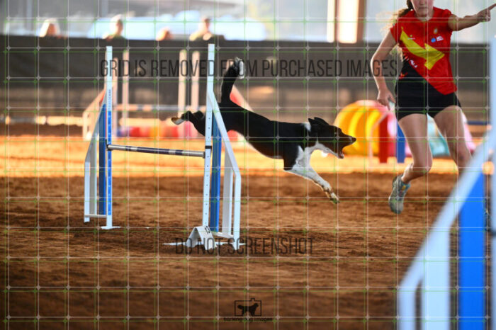 Violence_Phoenix_Thursday_Masters_Jumping_Heat_118_LB_0314