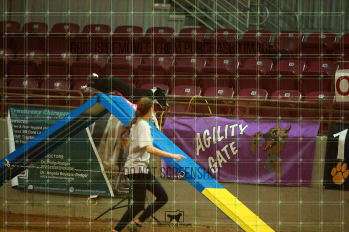 Violence_Phoenix_WednesdayNight_Round_1_Agility_226_NH_6633