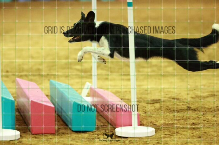 Violence_Phoenix_WednesdayNight_Round_1_Agility_226_NH_6658