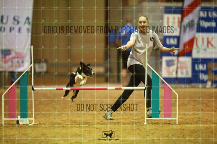 Violence_Phoenix_WednesdayNight_Round_1_Agility_226_NH_6674