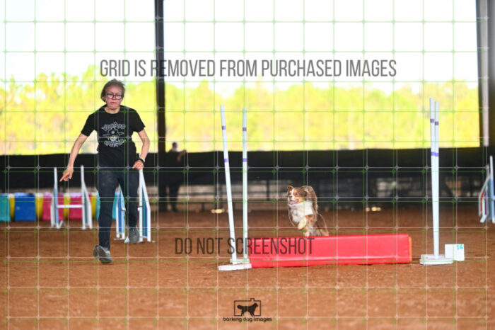 Voodoo_Gillett_Friday_MastersJumpingFinal_199_LB_2790