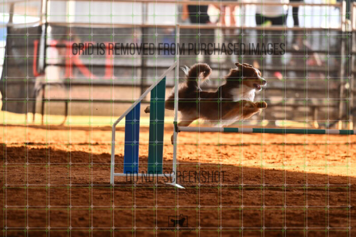 Voodoo_Gillett_Saturday_WTAJumping_152_LB_1522