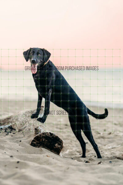 Maggie-Final-15